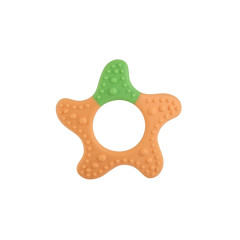 BT031 Starfish Shape Silicone Teether