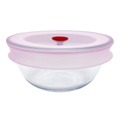 UT0081 Glass Bowl with silicone Lid