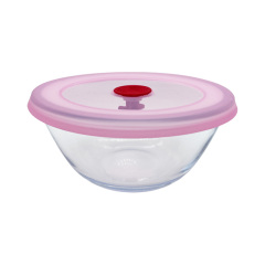 UT0079 Glass Bowl with silicone Lid