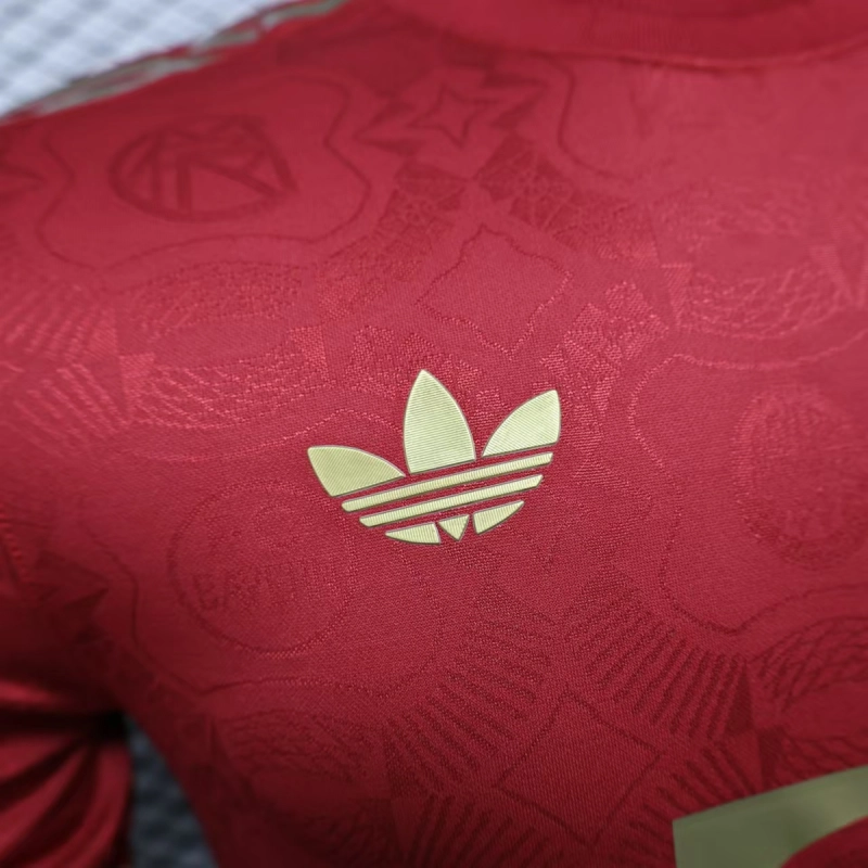 Player Edition 2024-25 Bayern Munich Anniversary Red Football Jersey