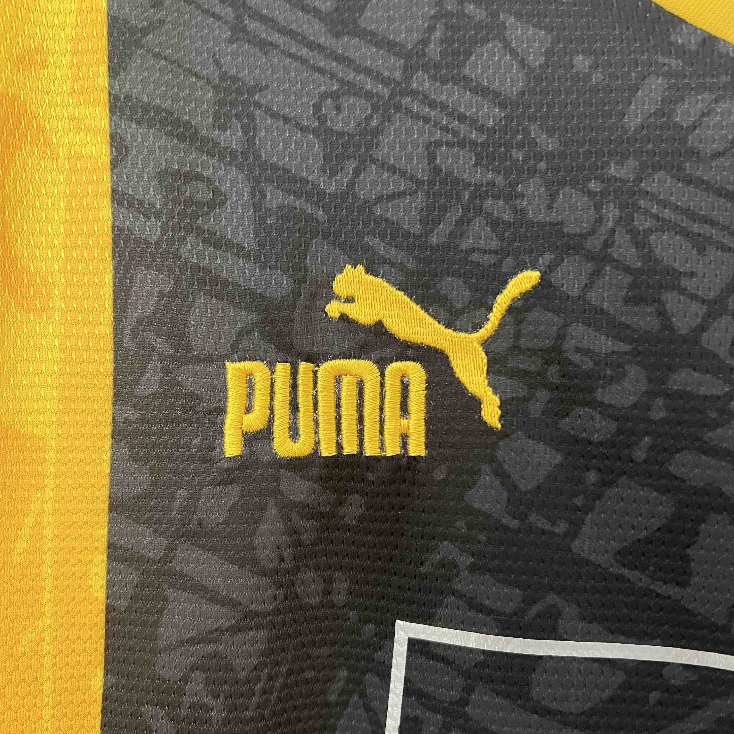 24-25 Borussia Dortmund Special Edition Yellow Kit Football Jersey