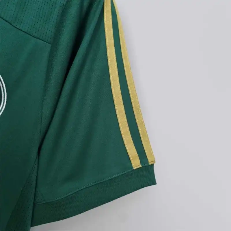 Palmeiras 100th Anniversary 2014/15 Retro Jersey