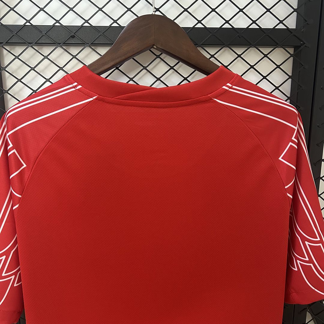 Jordan PSG Soccer Jersey Fourth Away Custom Shirt 2024-25