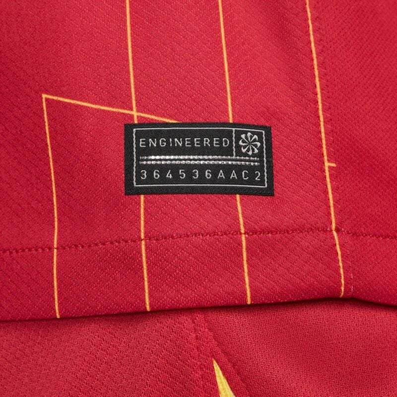 Liverpool Home Chiesa 14 Shirt 2024-2025 (Premier League) Size S-4XL