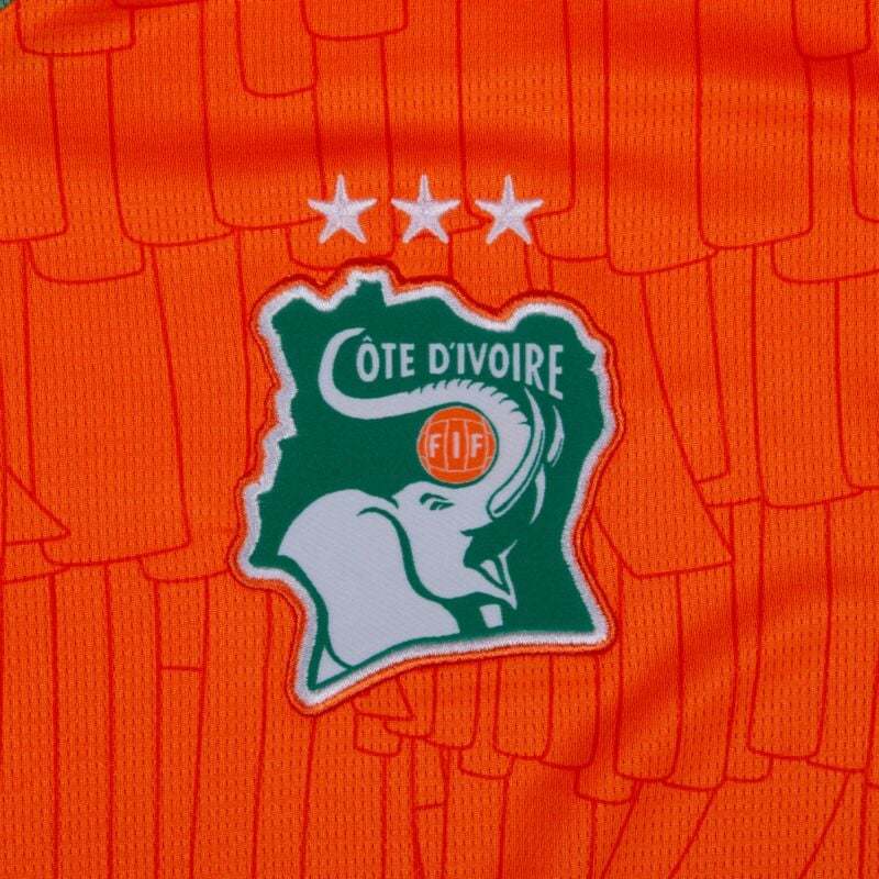 Ivory Coast Home Shirt 2025-2026  fans version
