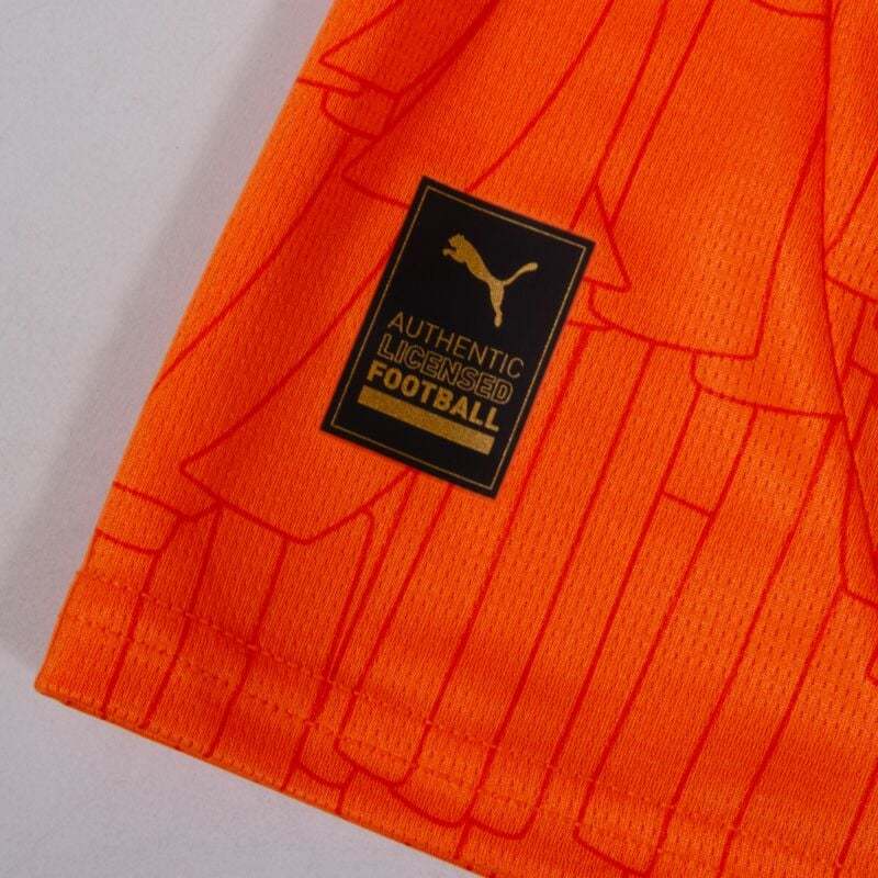 Ivory Coast Home Shirt 2025-2026  fans version