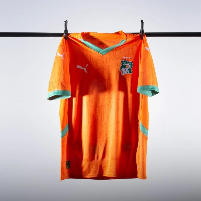 Ivory Coast Home Shirt 2025-2026  fans version