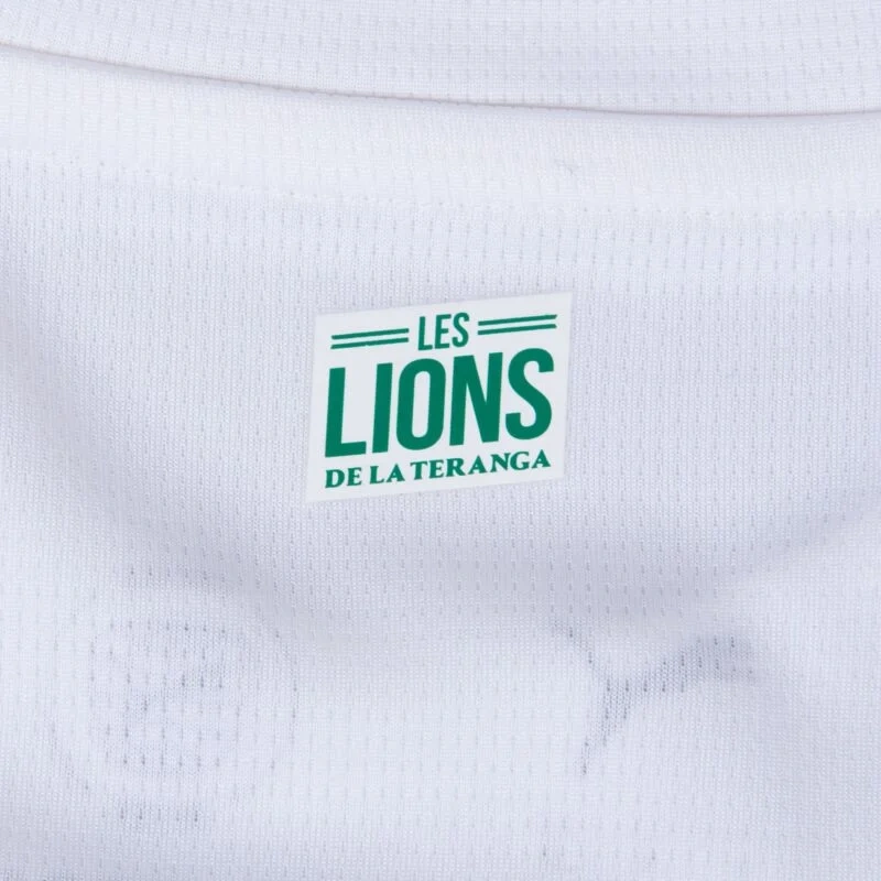 Senegal Home Shirt 2025-2026 fans version