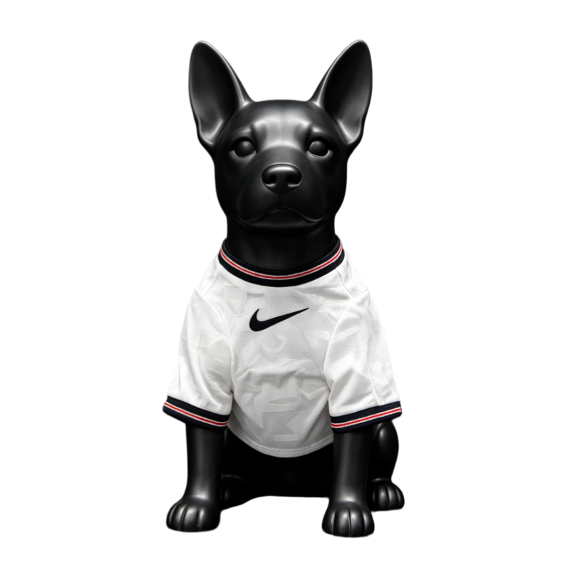 England 2026 Home Dog World Cup Kit & Jersey Pet Version