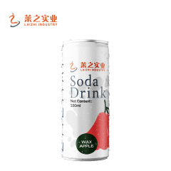LaiZhi 330ml Soda Water Kiwi Fruit Flavor Sleek Can
