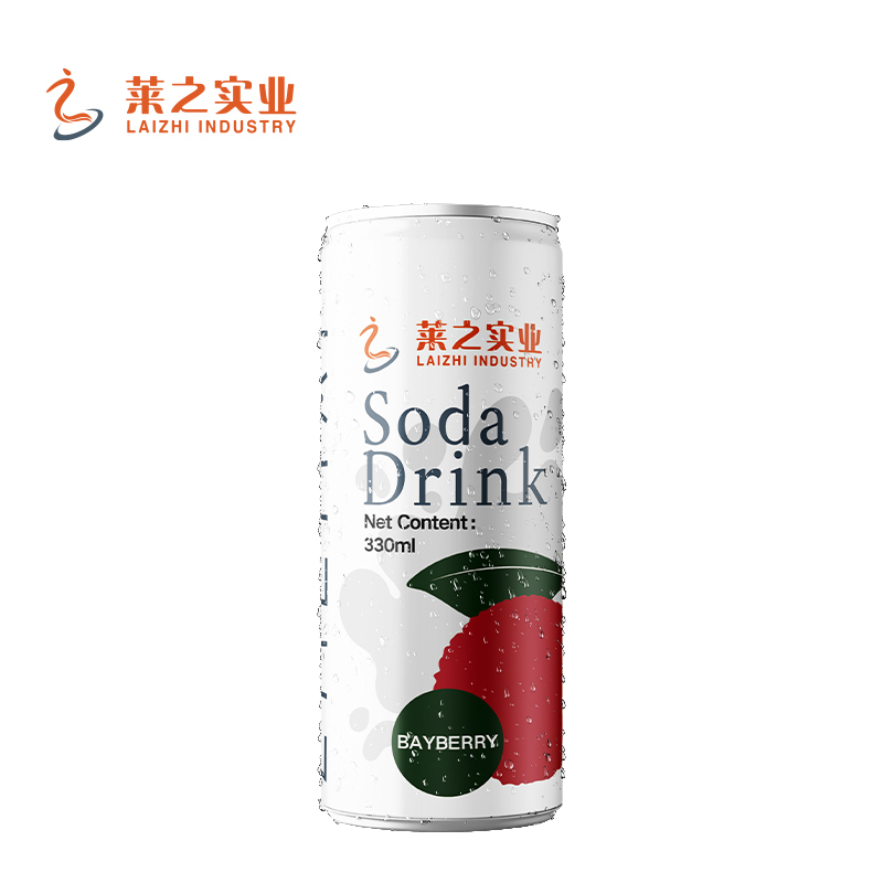 LaiZhi 330ml Soda Water JackFruit Flavor Sleek Can