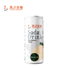 LaiZhi 330ml Soda Water Kiwi Fruit Flavor Sleek Can