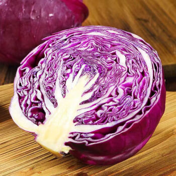 purple cabbage