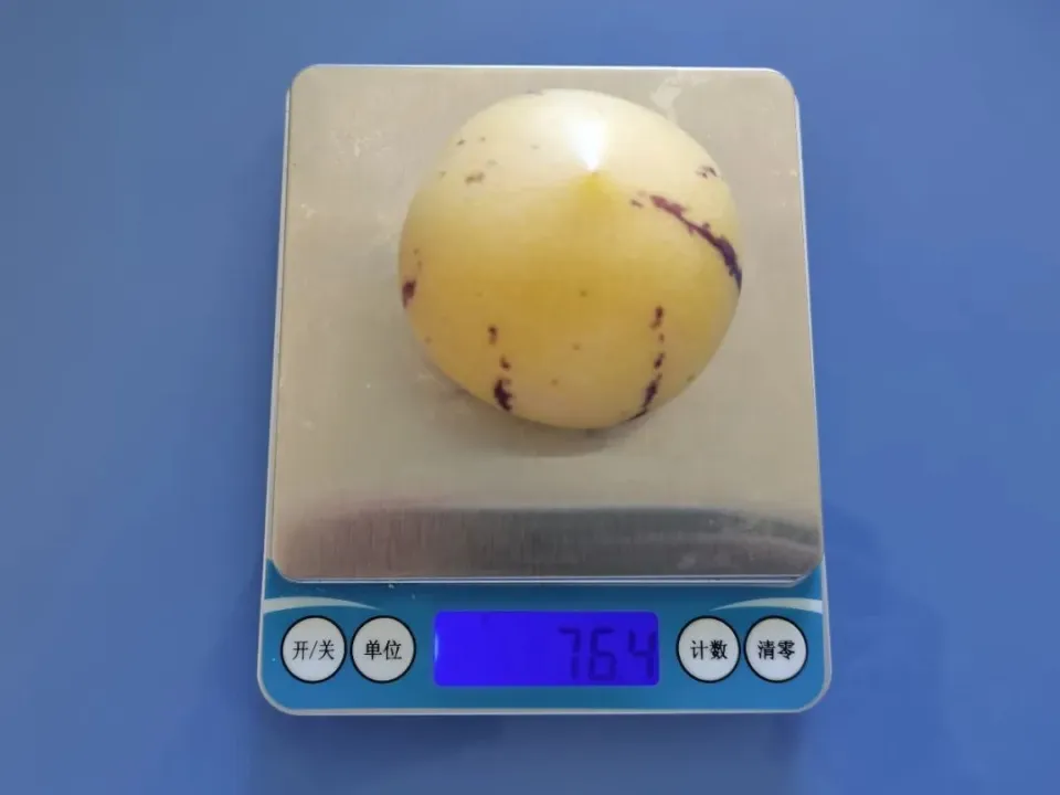 1 ginseng fruit is about 80 grams.