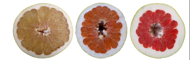 golden honey pomelo, red honey pomelo, and Guanxi honey pomelo