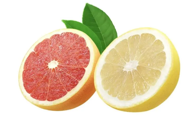 Blood orange and grapefruit