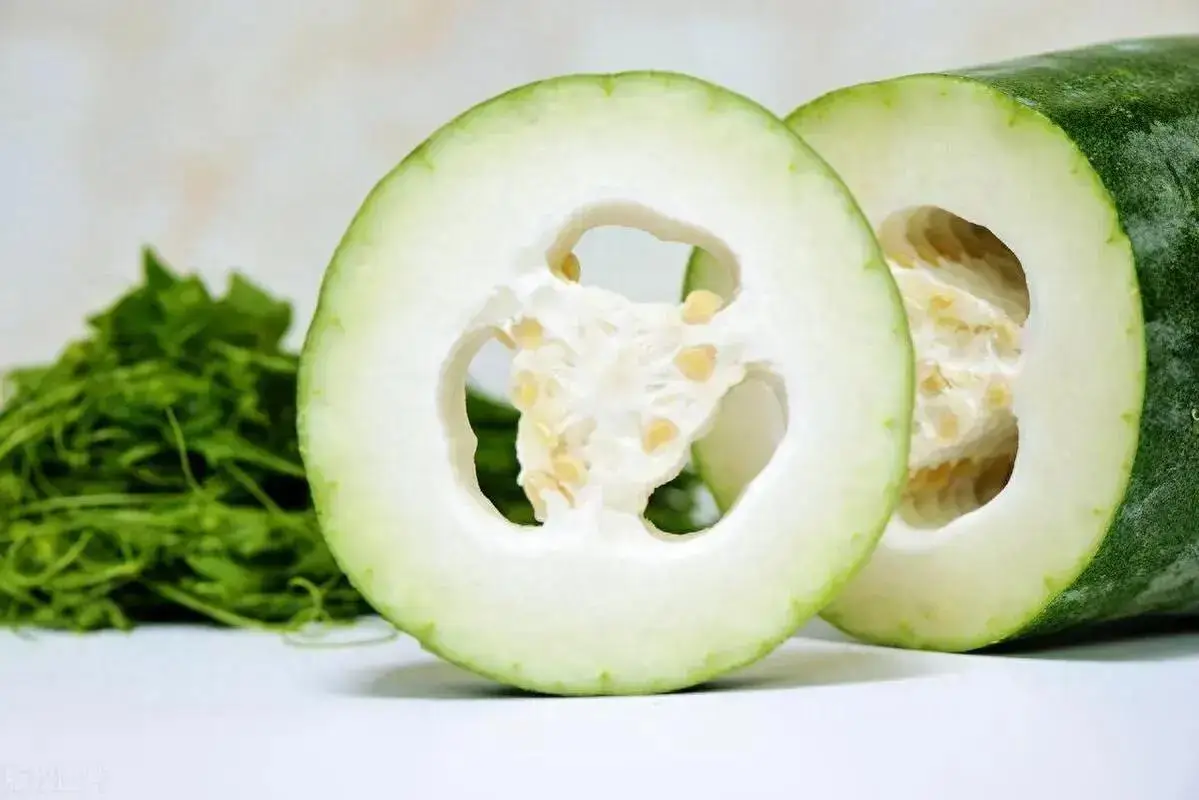 Winter melon