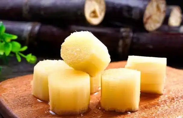 sugar cane