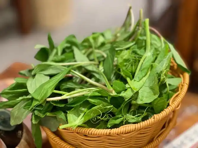 Pea tips