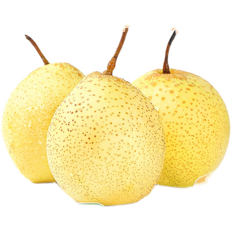 Snow Pear