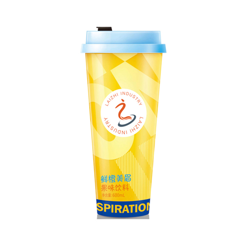 Fresh Orange Juice 600ml | Natural Healthy Fruit Beverage OEM