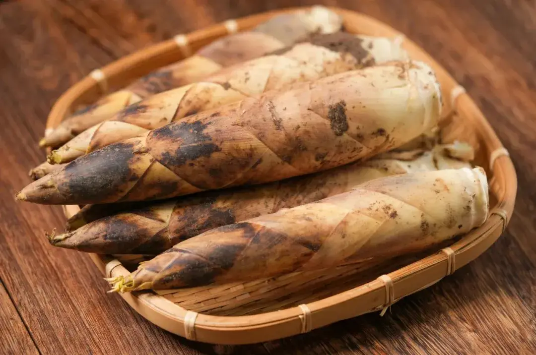 spring bamboo shoots