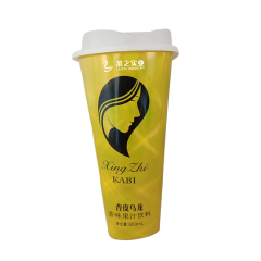 LaiZhi Apricot Peel & Oolong Flavored Fruit Tea | Cup, 600 ml