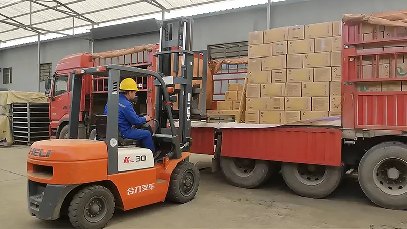 Premium canned beverages ready for distribution. Choosing the right packaging design is essential for brand recognition in a crowded market.