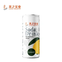 330ml Loquat Soda Water Manufacturer | OEM Private Label Sparkling Drink