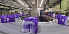 Case conveyor system - Flexible Skate Wheel