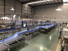 Bottle conveyor system - Heat Resistance Beverage Solution