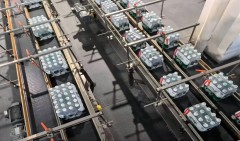 Case conveyor system - Flexible Skate Wheel