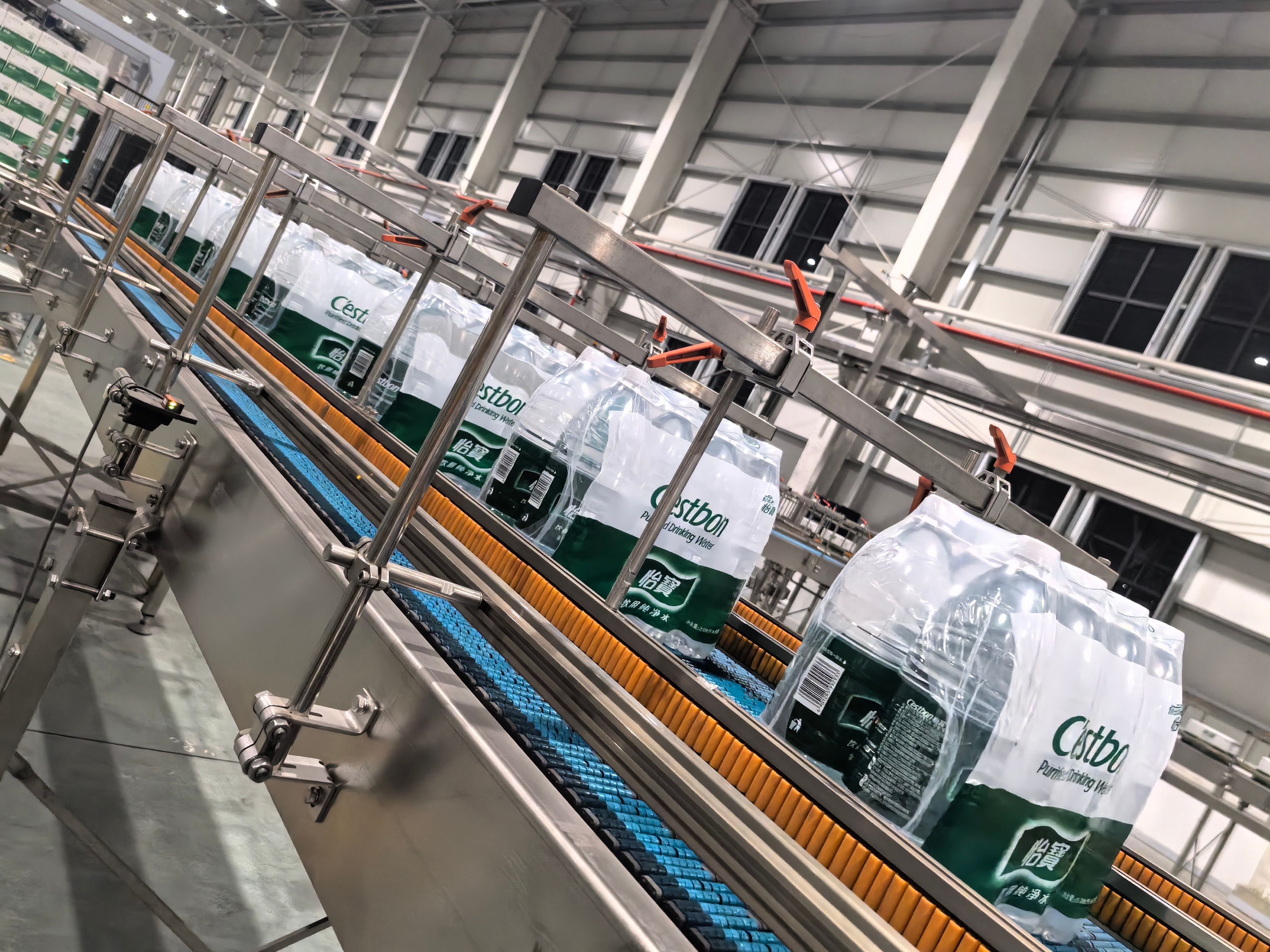 Case conveyor system - Flexible Skate Wheel