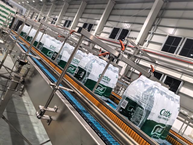 Case conveyor system - Flexible Skate Wheel