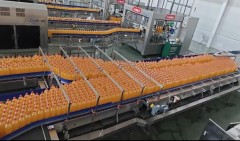 Dynamic buffer  table - Pallet Conveyor System
