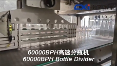 Bottle divider