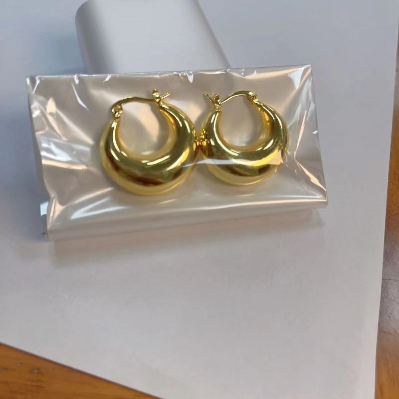 Fashion Women 18K Gold Plated Fine 316L Stainless Steel Thick Circle Earrings Jewelry