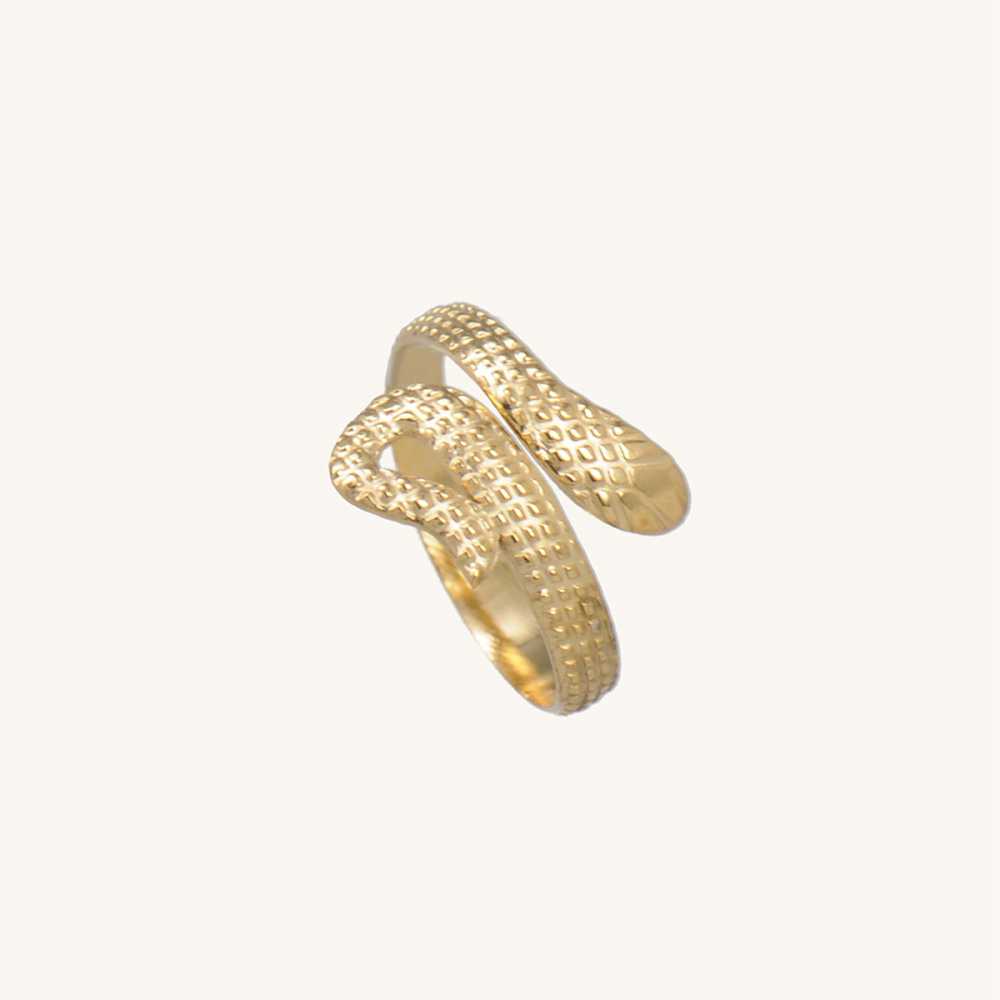 316L Stainless Steel Serpentine Ring PVD Coating