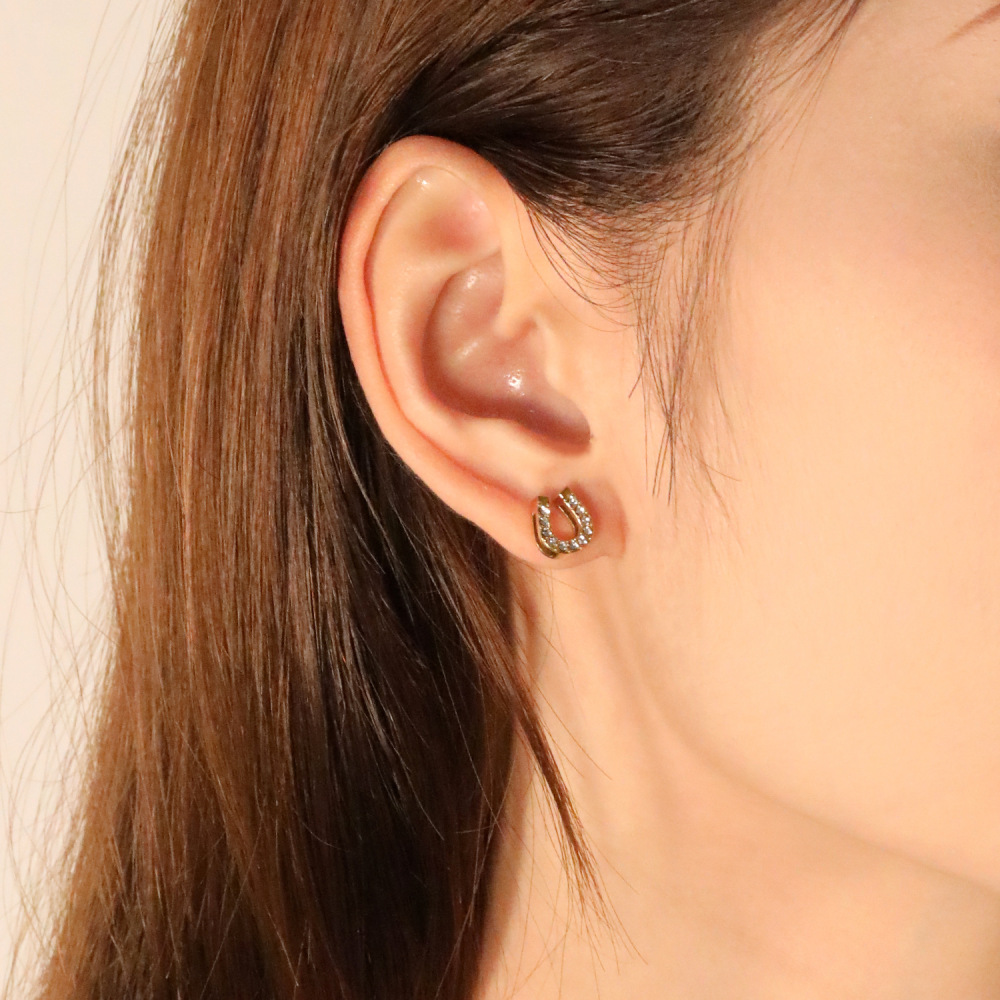 Good Fortune Horseshoe Stud Earrings With CZ Stone In Stainless Steel