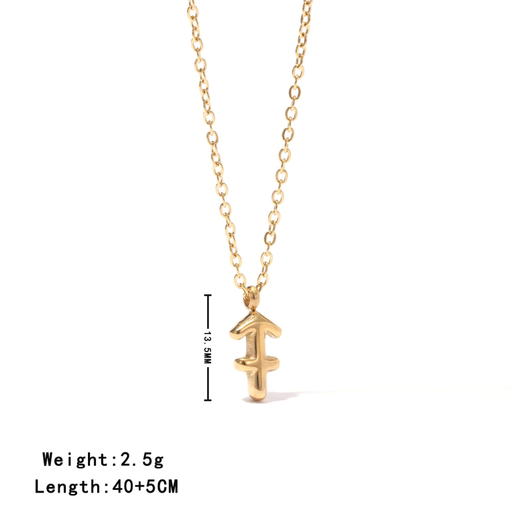 Zodiac Sign Pendant Necklace in PVD Stainless Steel 14K Gold
