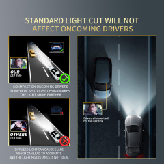 YOBIS LED CARLIGHT,YOBIS DD-S110P 001 | 80W 8000LM LED Headlight Bulb