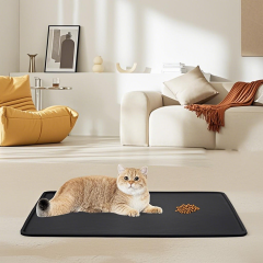 Silicone Pet and Kitchen Anti-slip mat