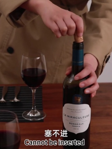 Wine Stopper