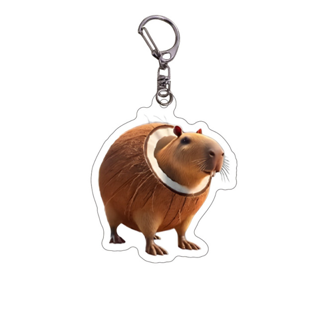 Acrylic Key Chain