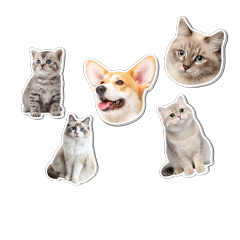 Acrylic Fridge Magnet