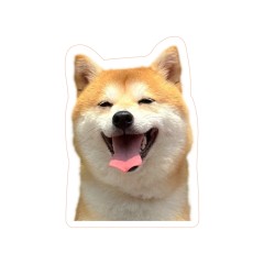 Acrylic Fridge Magnet