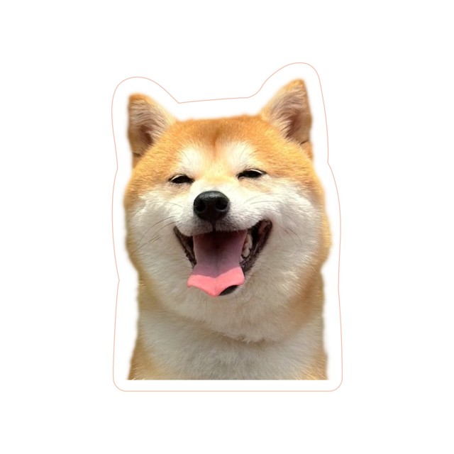 Acrylic Fridge Magnet