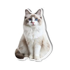 Acrylic Fridge Magnet