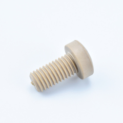 Custom Plastic Screws M8 x 16 Cross Recessed Cylinder Head Machine Screws Plastic Fasteners Peek Screws