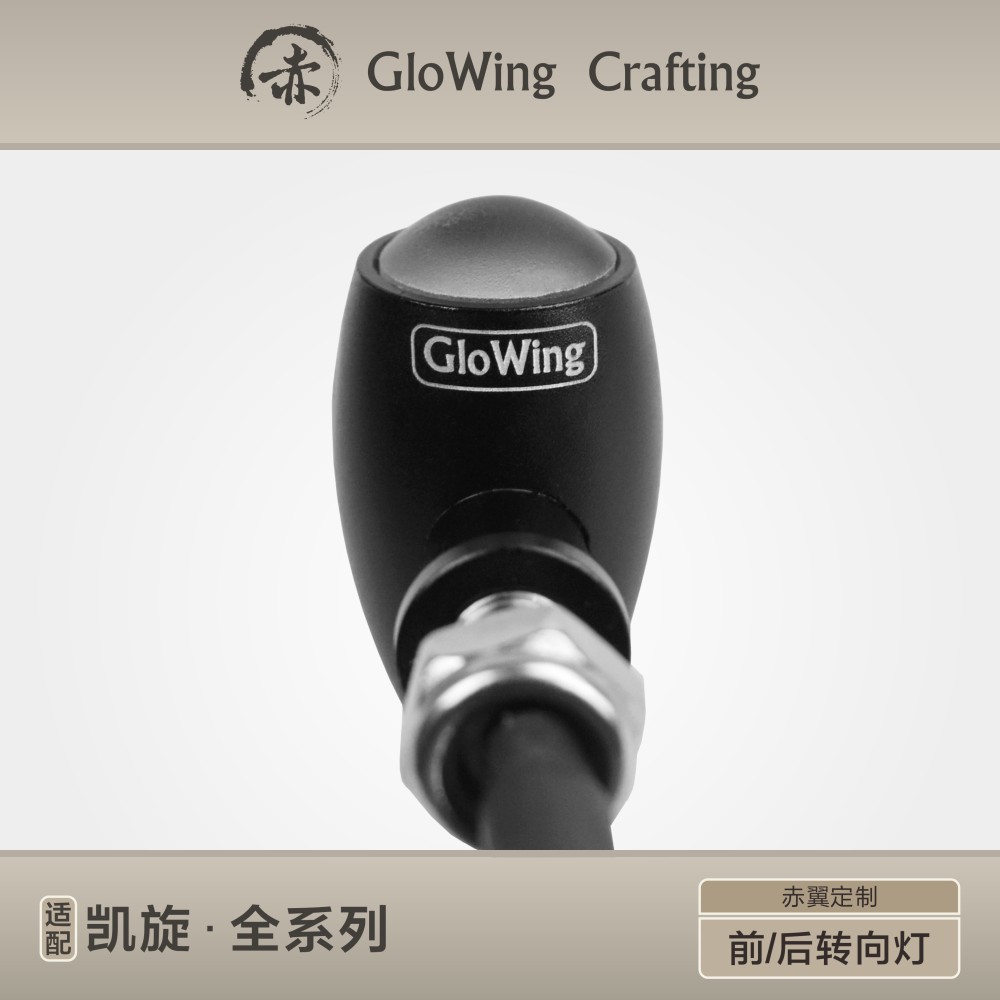 Glowing™ TRIUMPH  Water drop shaped turn indicator